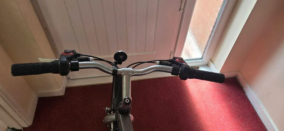 Adults bike - Image 4