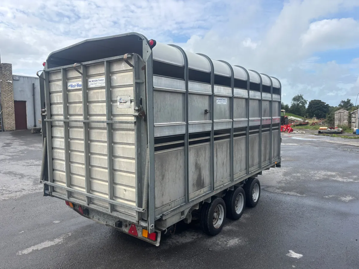 ifor williams dp120 14ft - Image 3