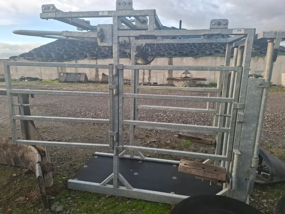 Hoof Pairing Crate - Image 2