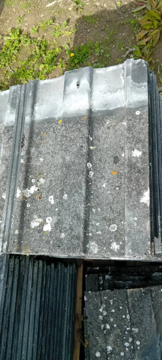 Tile and ridges - Image 1
