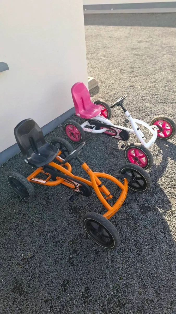 Berg Go Karts - Image 1