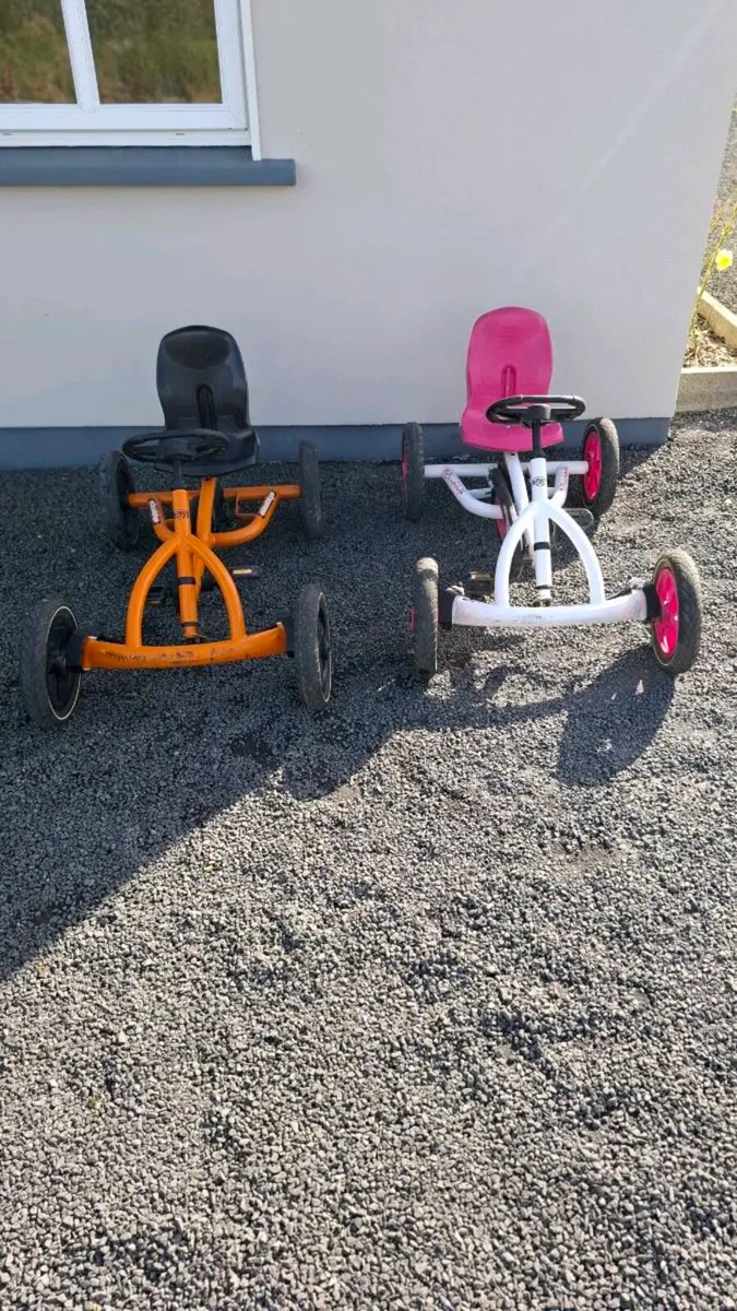 Berg Go Karts - Image 2