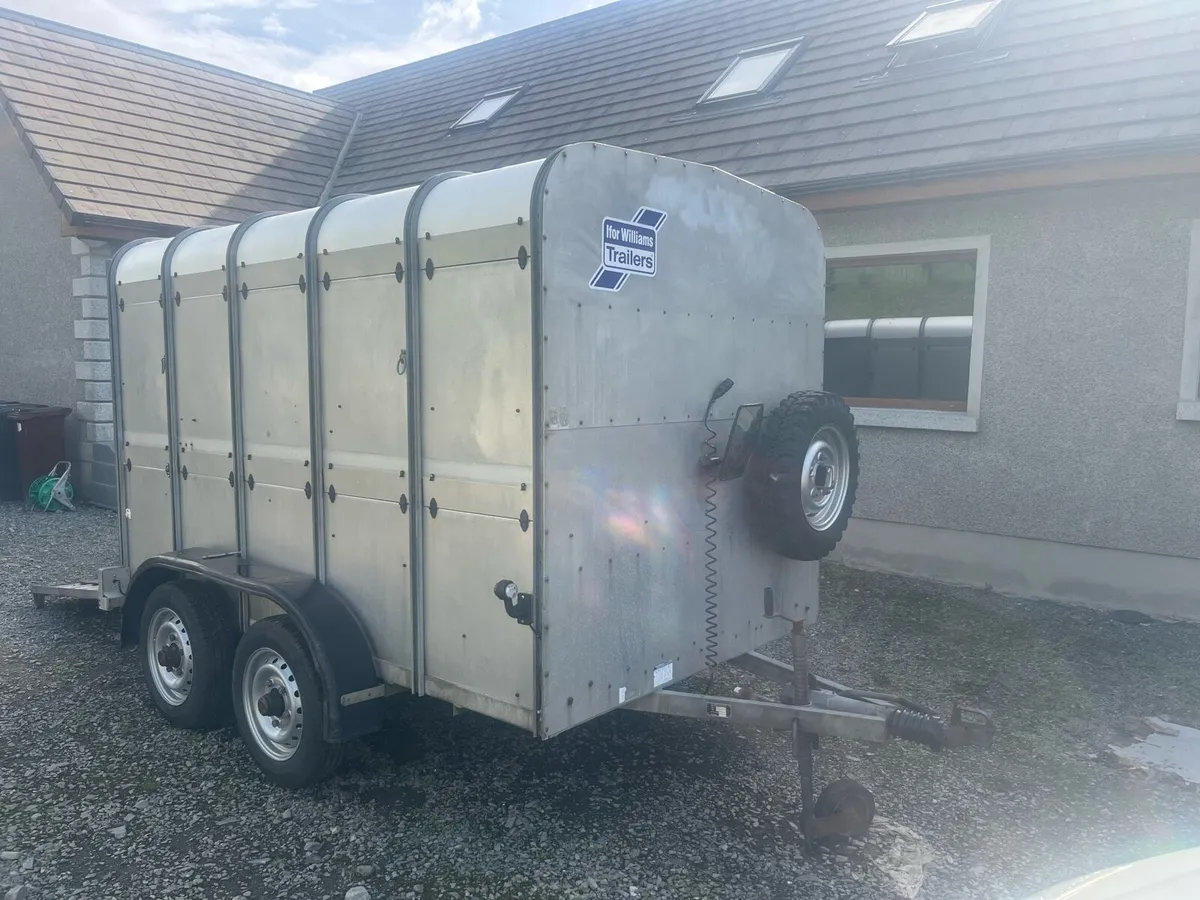 Ifor Williams trailer - Image 1