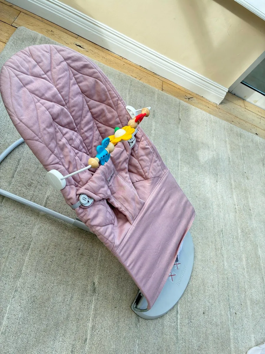 BabyBjörn Bouncer - Image 2