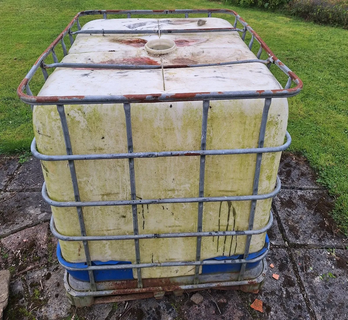IBC tank - Free - Image 1