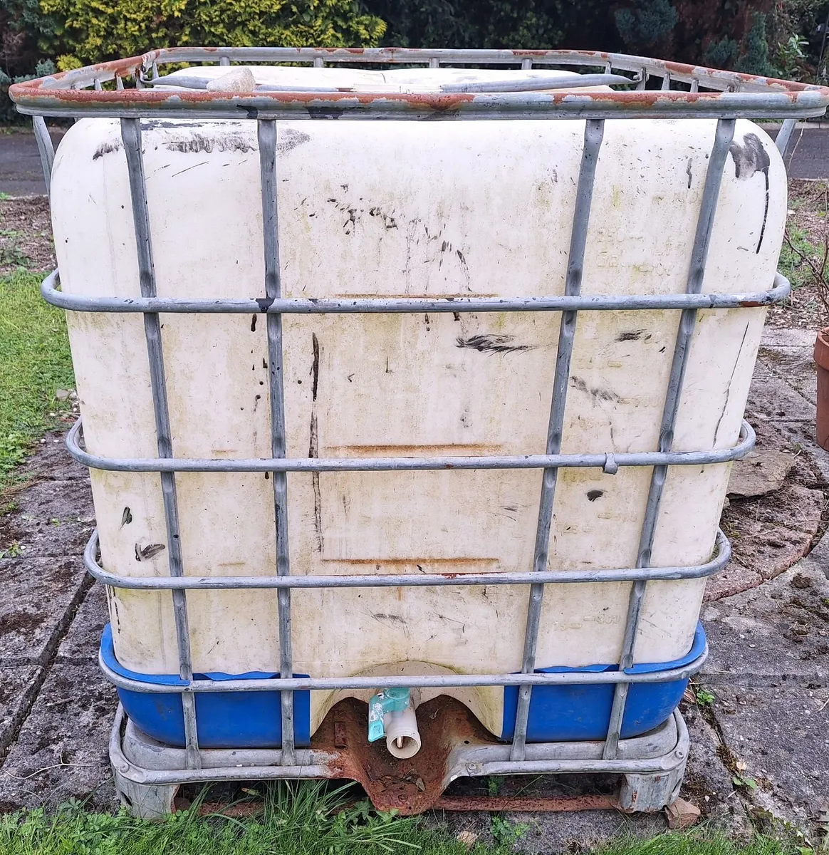 IBC tank - Free - Image 2