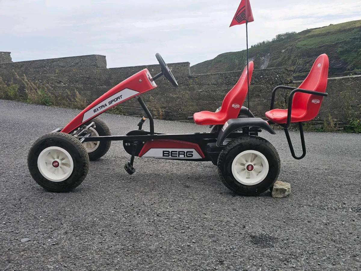 Berg go-kart, 2 seats and trailer - Image 3