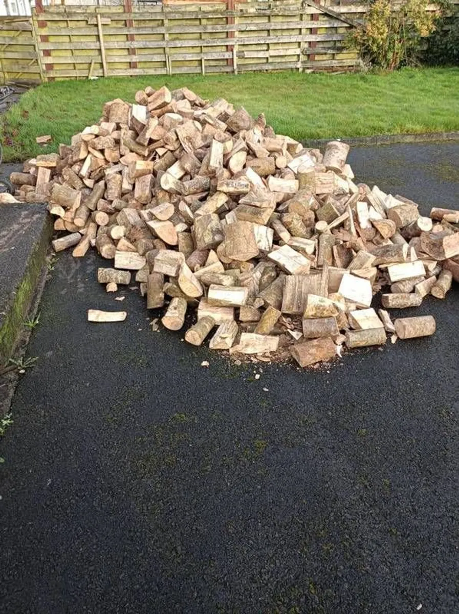 kilndried hardwood loads - Image 4