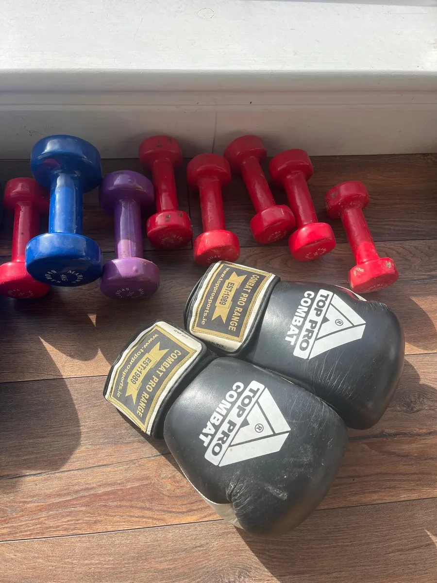 Gym weights - Image 2