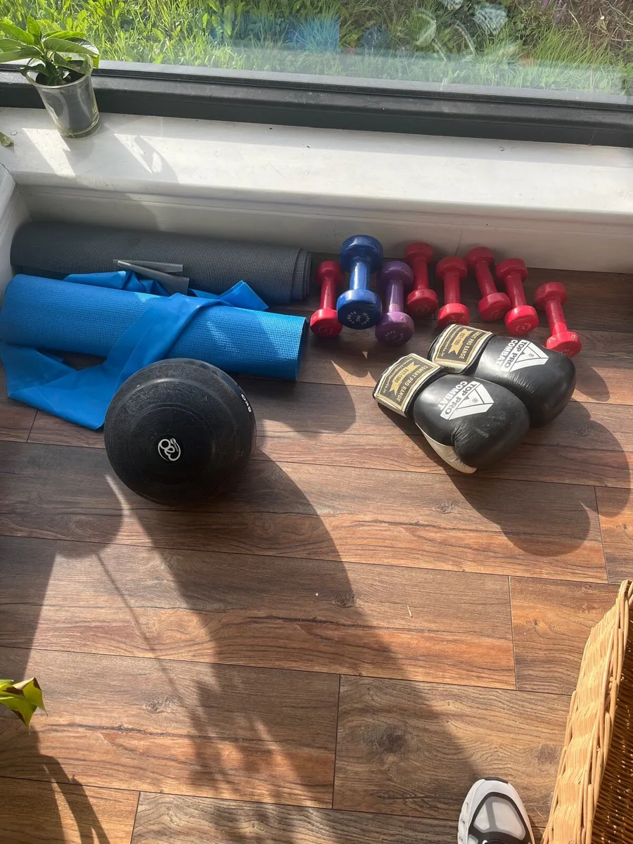 Gym weights - Image 1