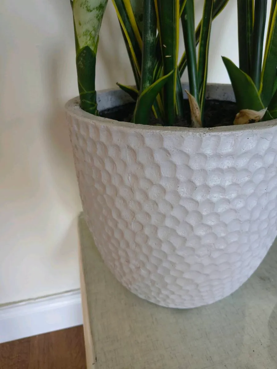 Indoor and - Image 2