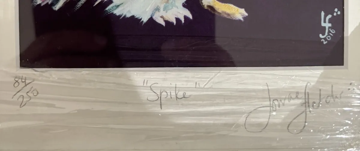Spike Hedgehog Framed Print 84/250 (UNOPENED) - Image 3
