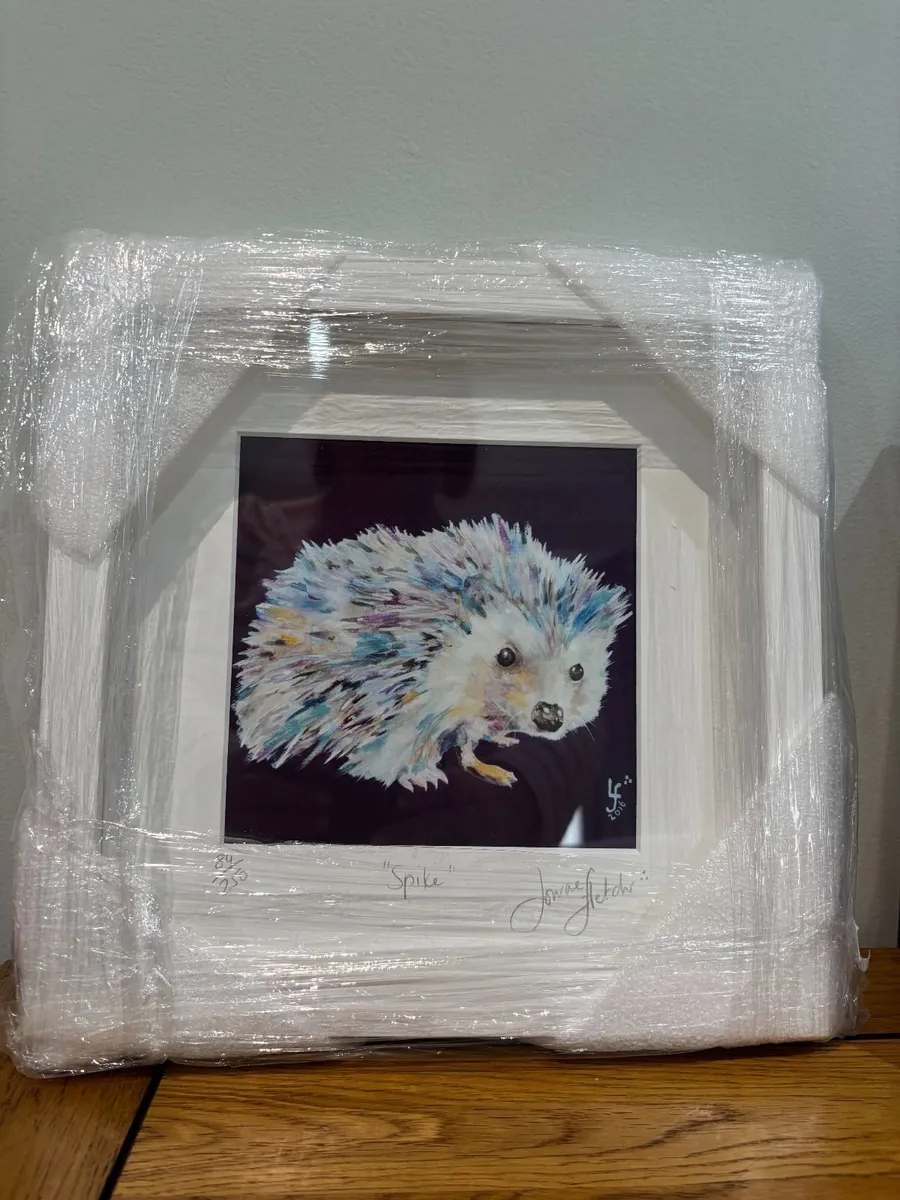 Spike Hedgehog Framed Print 84/250 (UNOPENED) - Image 1