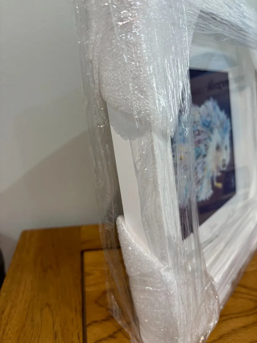 Spike Hedgehog Framed Print 84/250 (UNOPENED) - Image 4