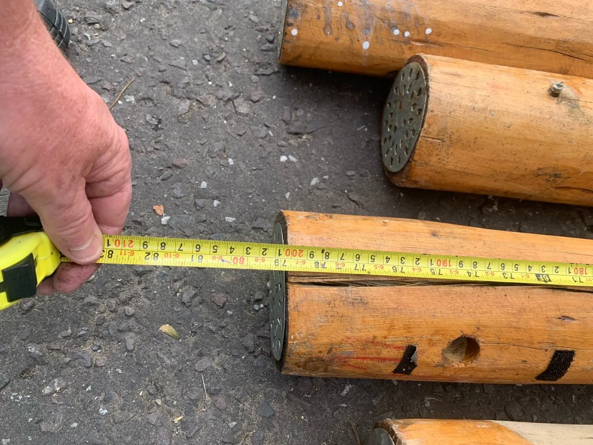 Cedarwood. Poles. - Image 4