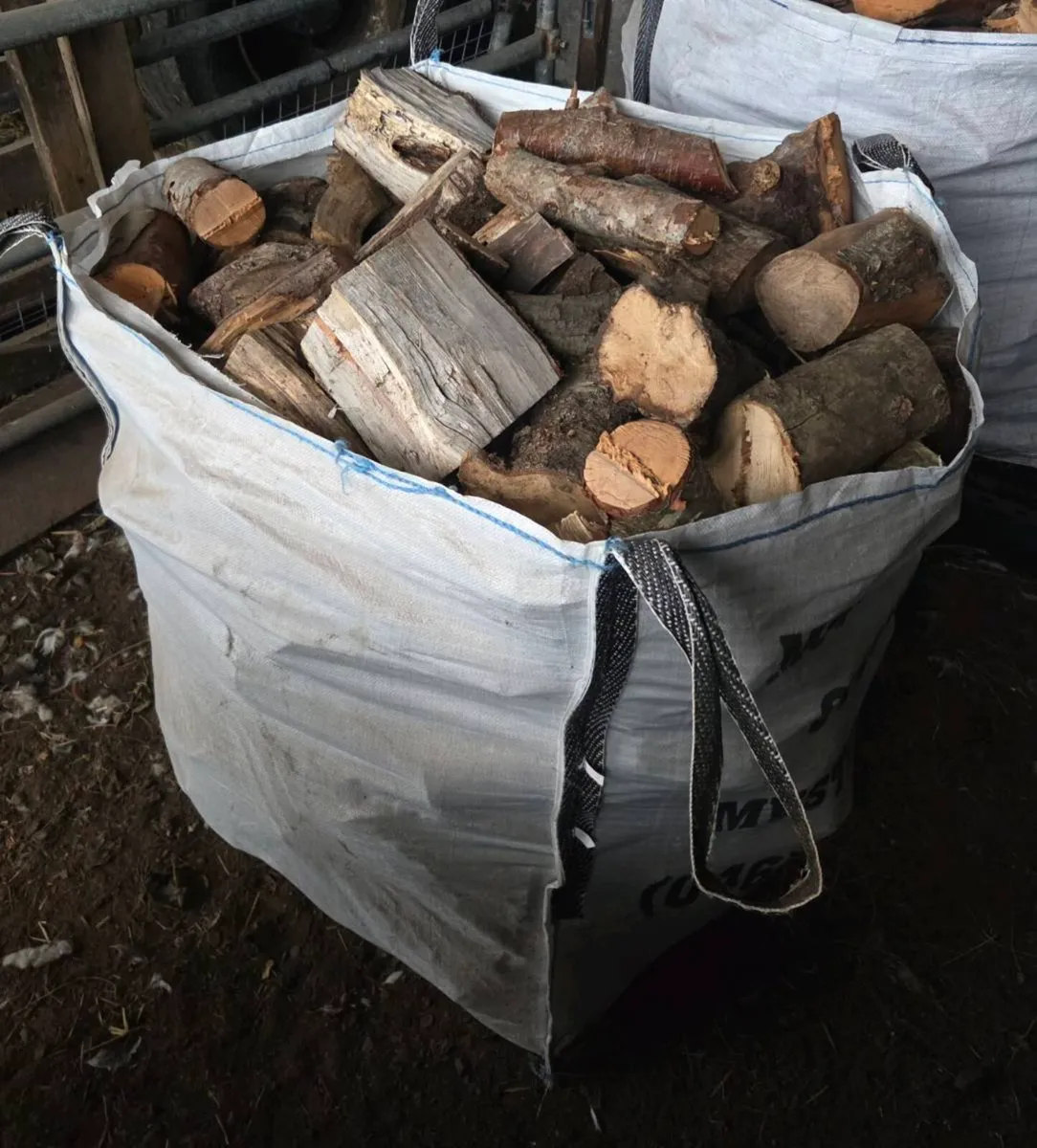 Fire Wood - Image 2