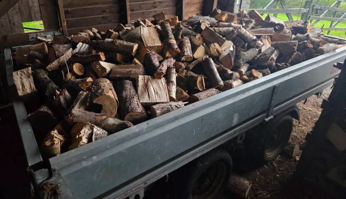 Fire Wood - Image 3