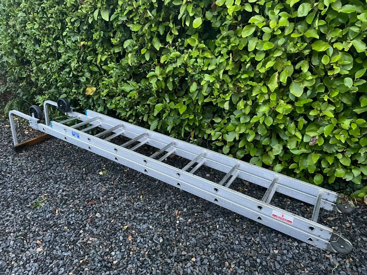 Stradbally Folding Roof Ladder - Image 2