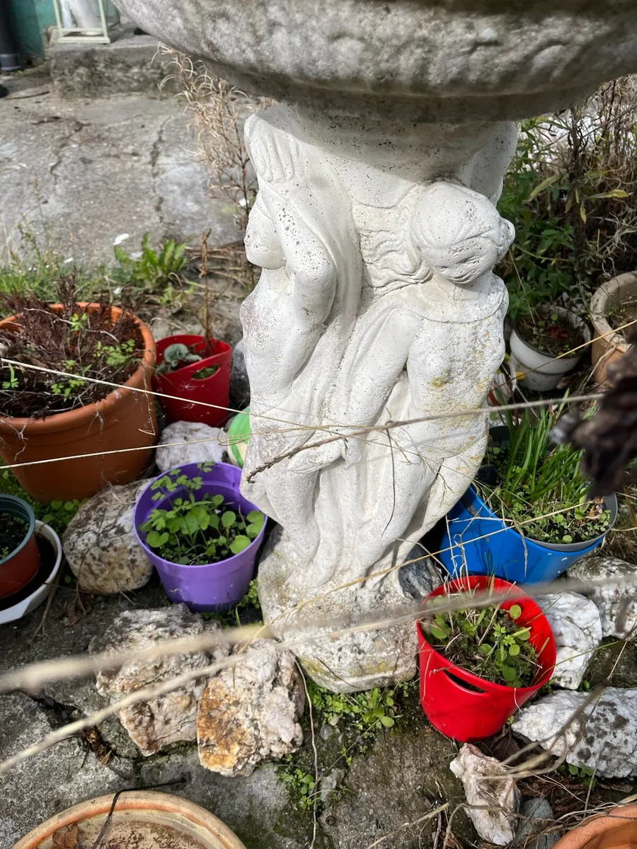 Plant pots gardening - Image 1