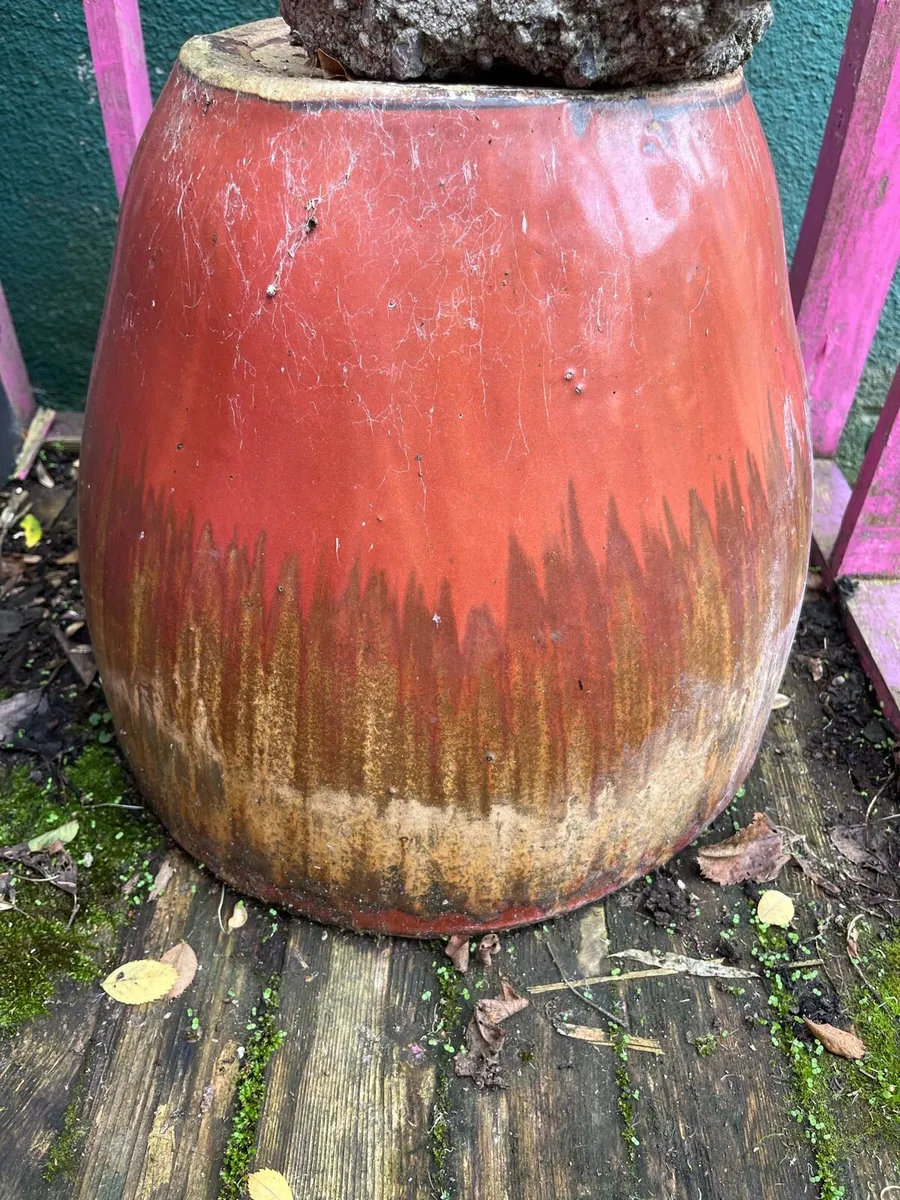 Plant pots gardening - Image 3