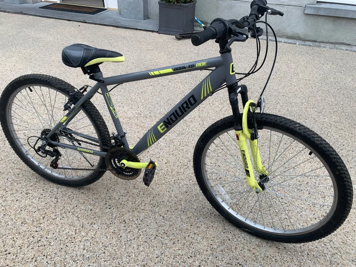 Mountain Bike - Image 1