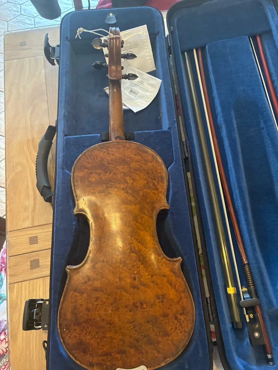 German Violin with T Dodd label - Image 1