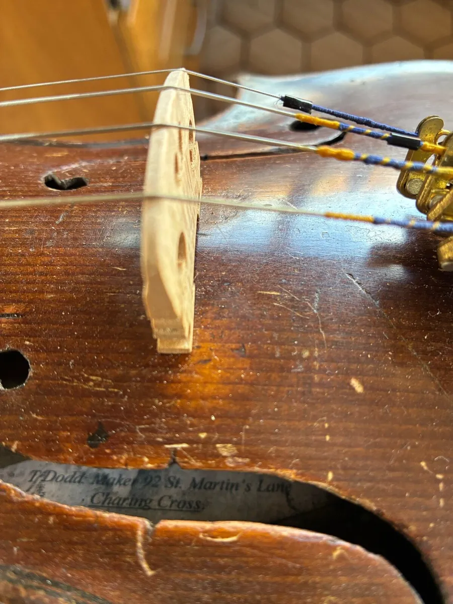 German Violin with T Dodd label - Image 3