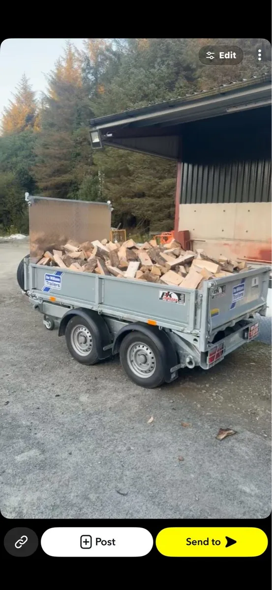 Ash - Image 1