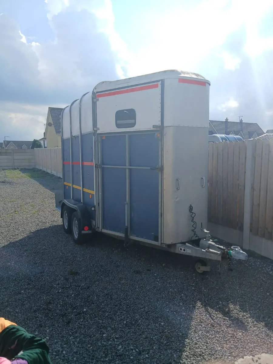 Ifor williams horsebox - Image 2