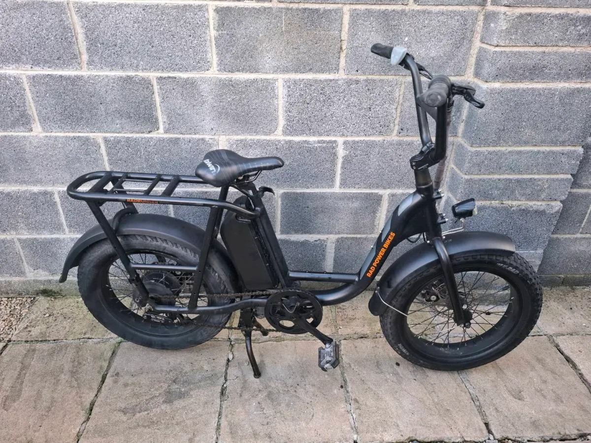 Radpower Electric Bike - Image 1