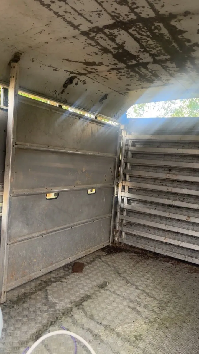 Cattle trailer - Image 2