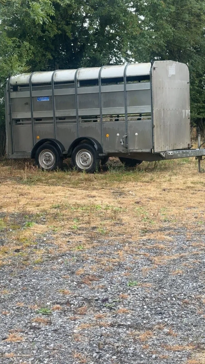 Cattle trailer - Image 3