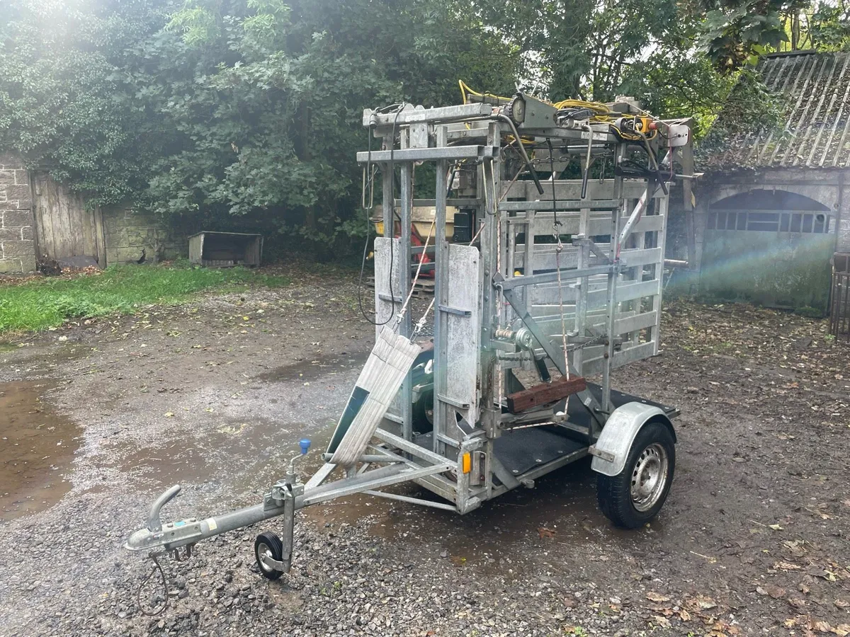 Wopa 39 Hoof Trimming Crate - Image 1