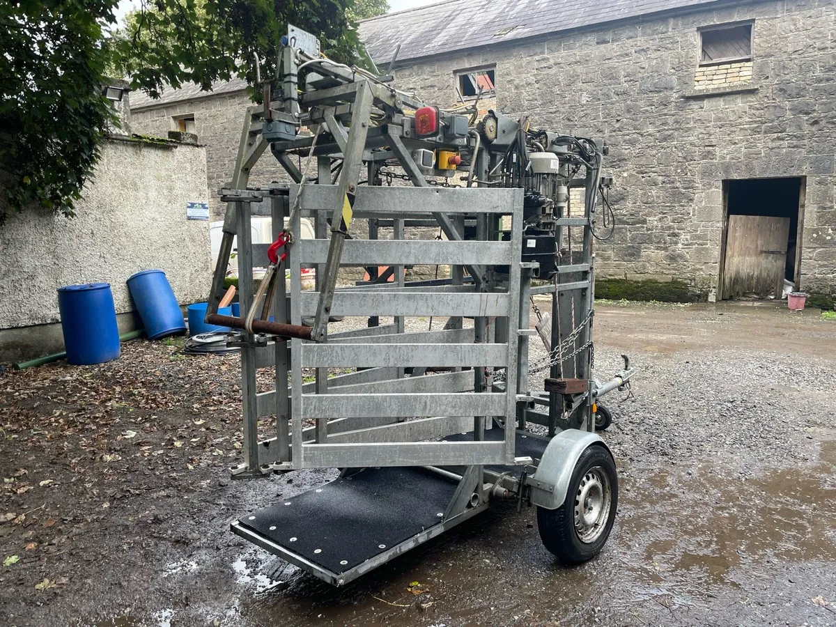 Wopa 39 Hoof Trimming Crate - Image 3