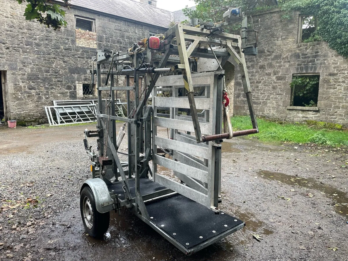 Wopa 39 Hoof Trimming Crate - Image 4