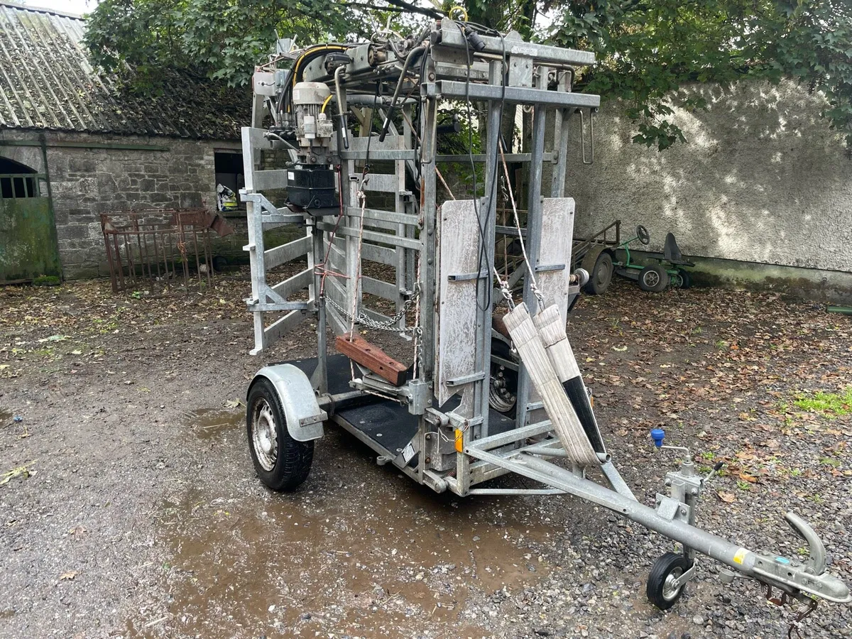 Wopa 39 Hoof Trimming Crate - Image 2