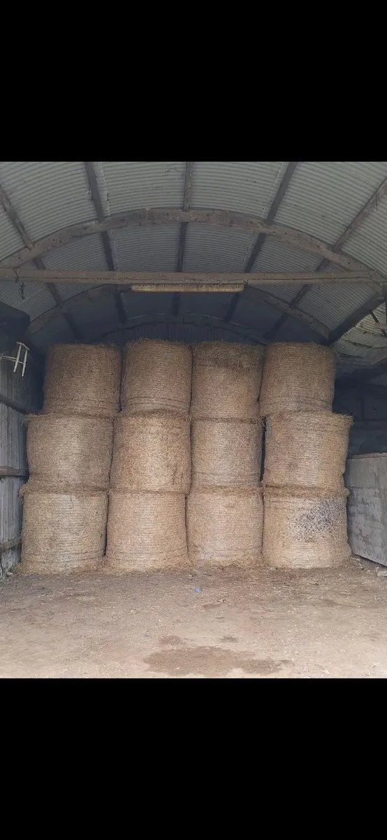 Bales Of Hay For Sale - Image 1