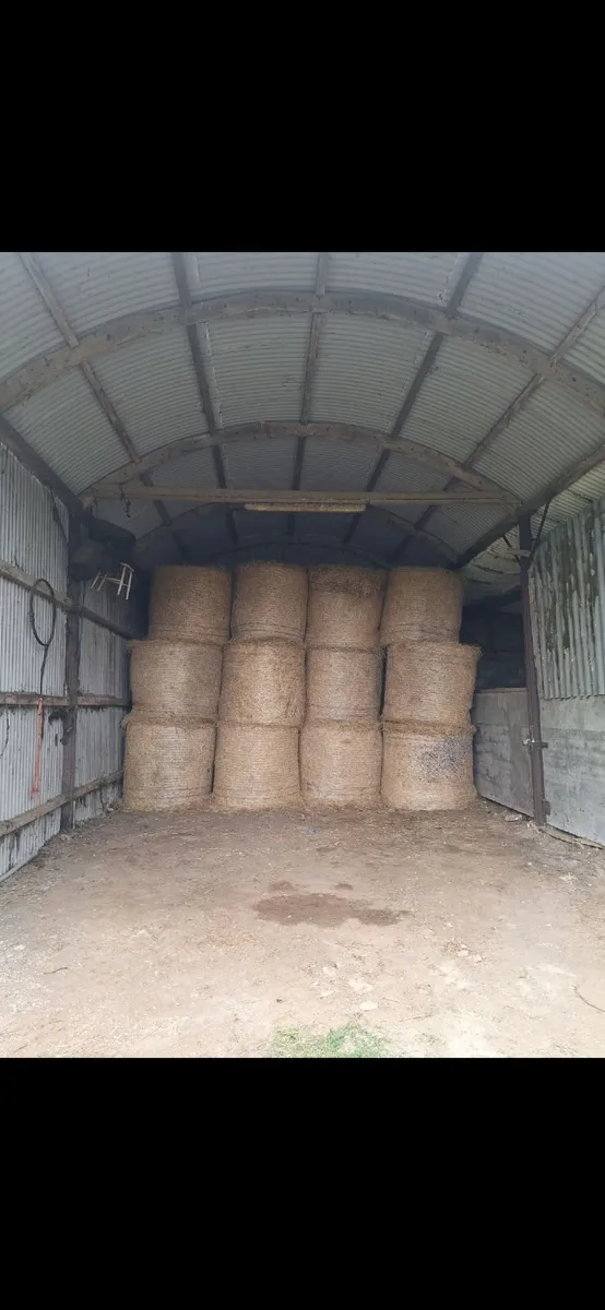 Bales Of Hay For Sale - Image 2