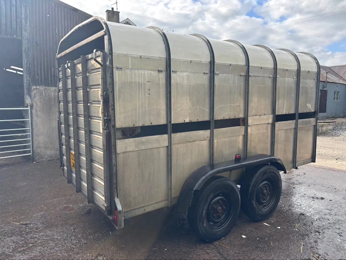 Livestock Trailer - NO Vat. With Decks - Image 2