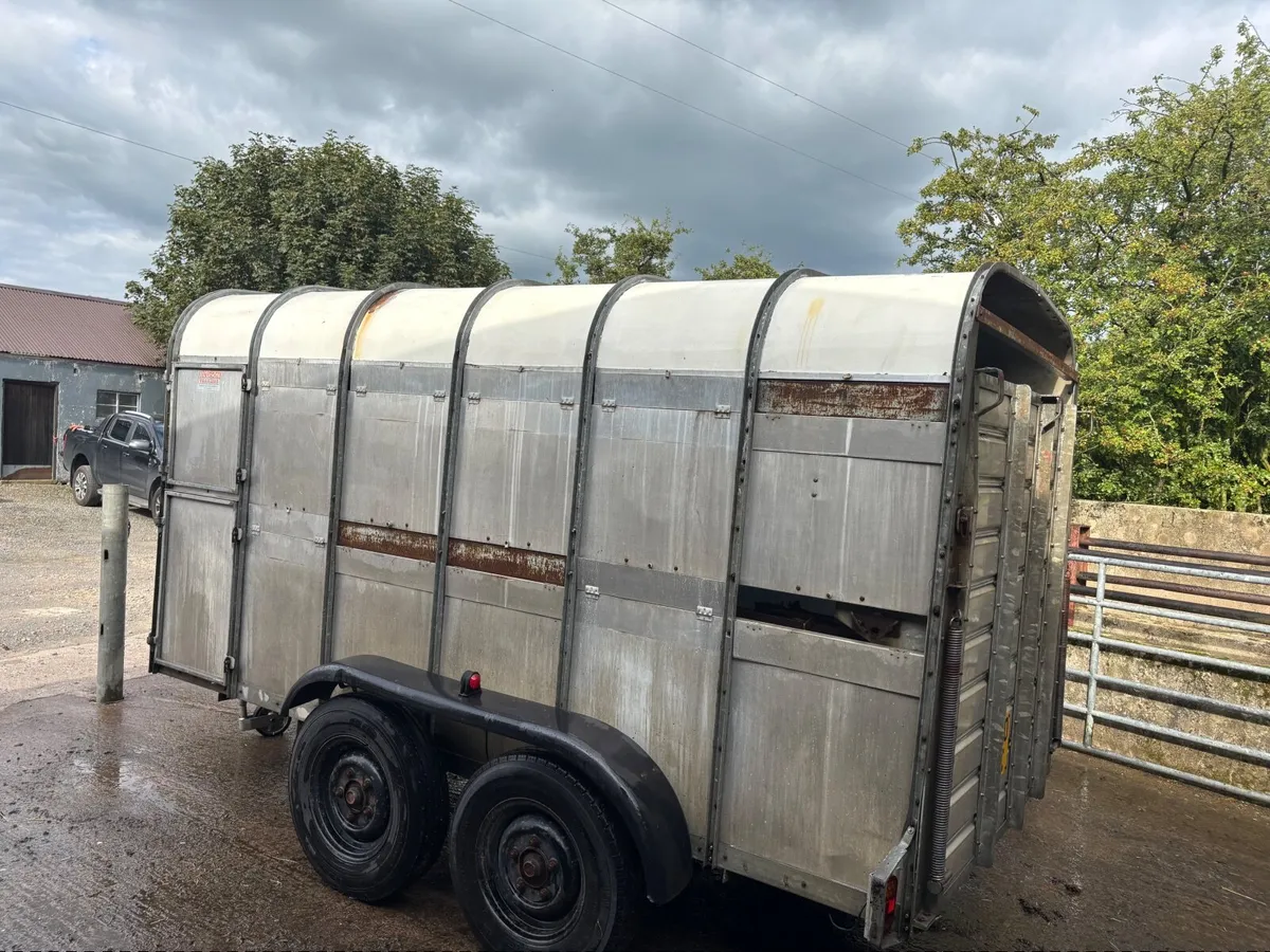 Livestock Trailer - NO Vat. With Decks - Image 3