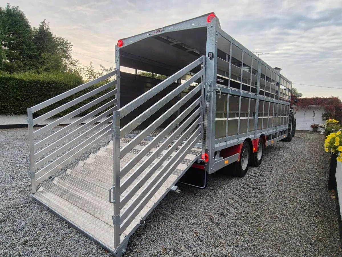 24ft Cattle Trailer - Image 3