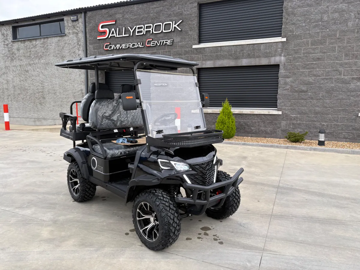 Golf Buggy - Image 3