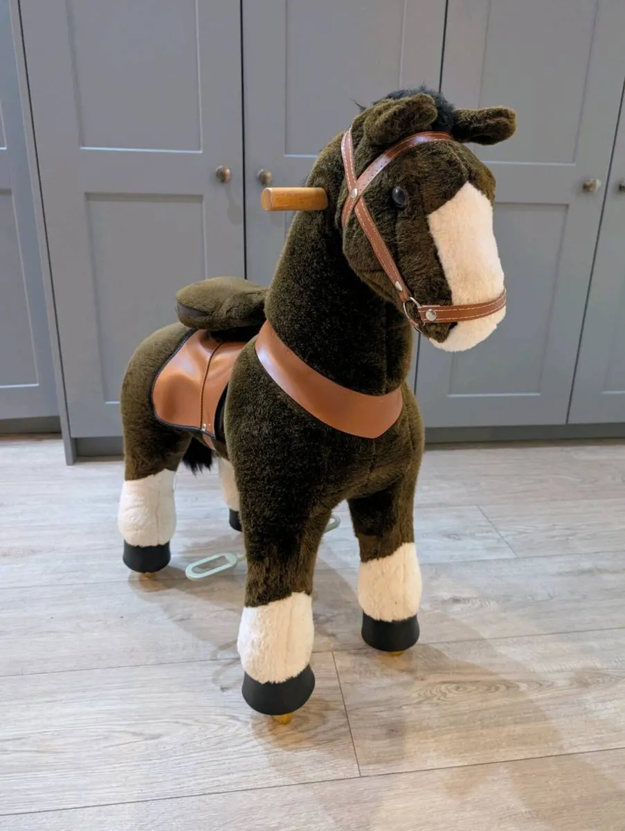 Pony cycle - Image 1