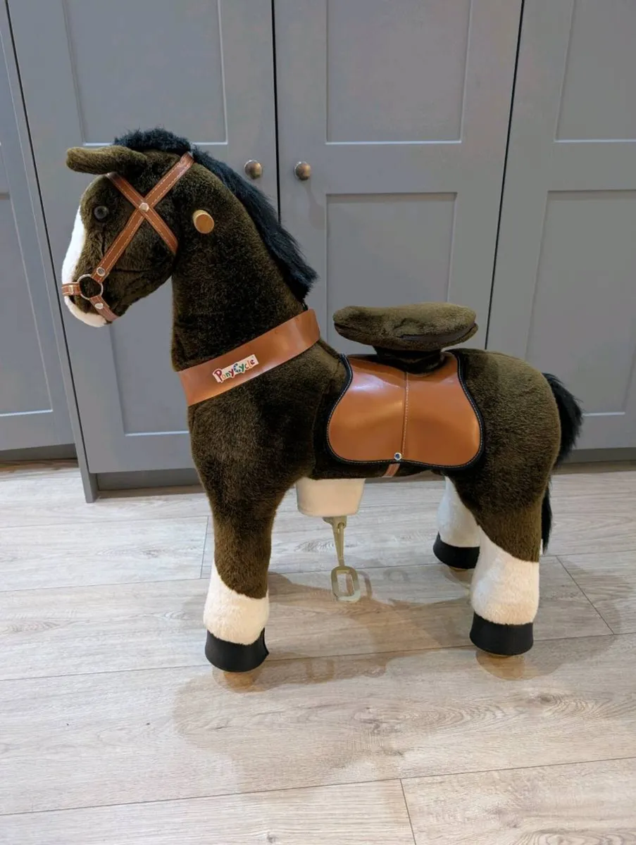 Pony cycle - Image 2