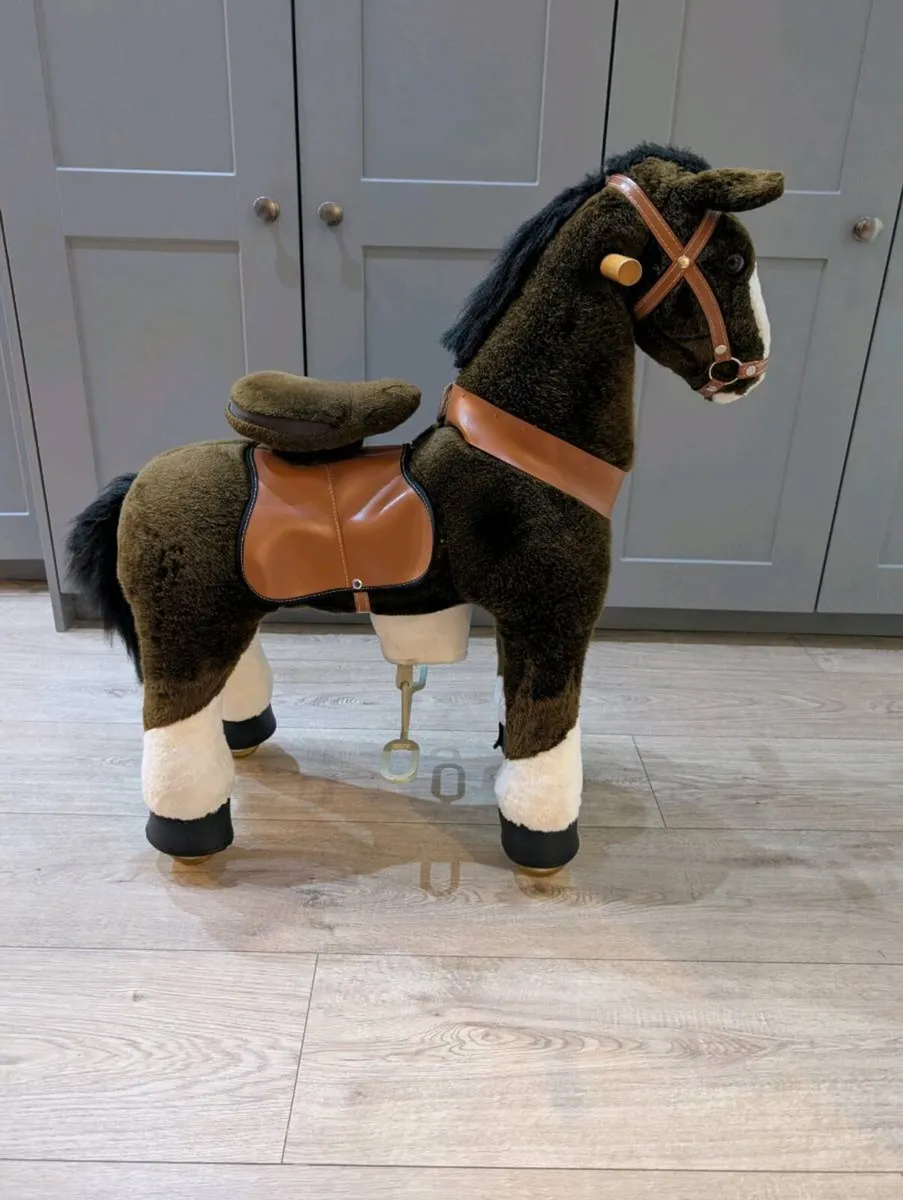 Pony cycle - Image 3