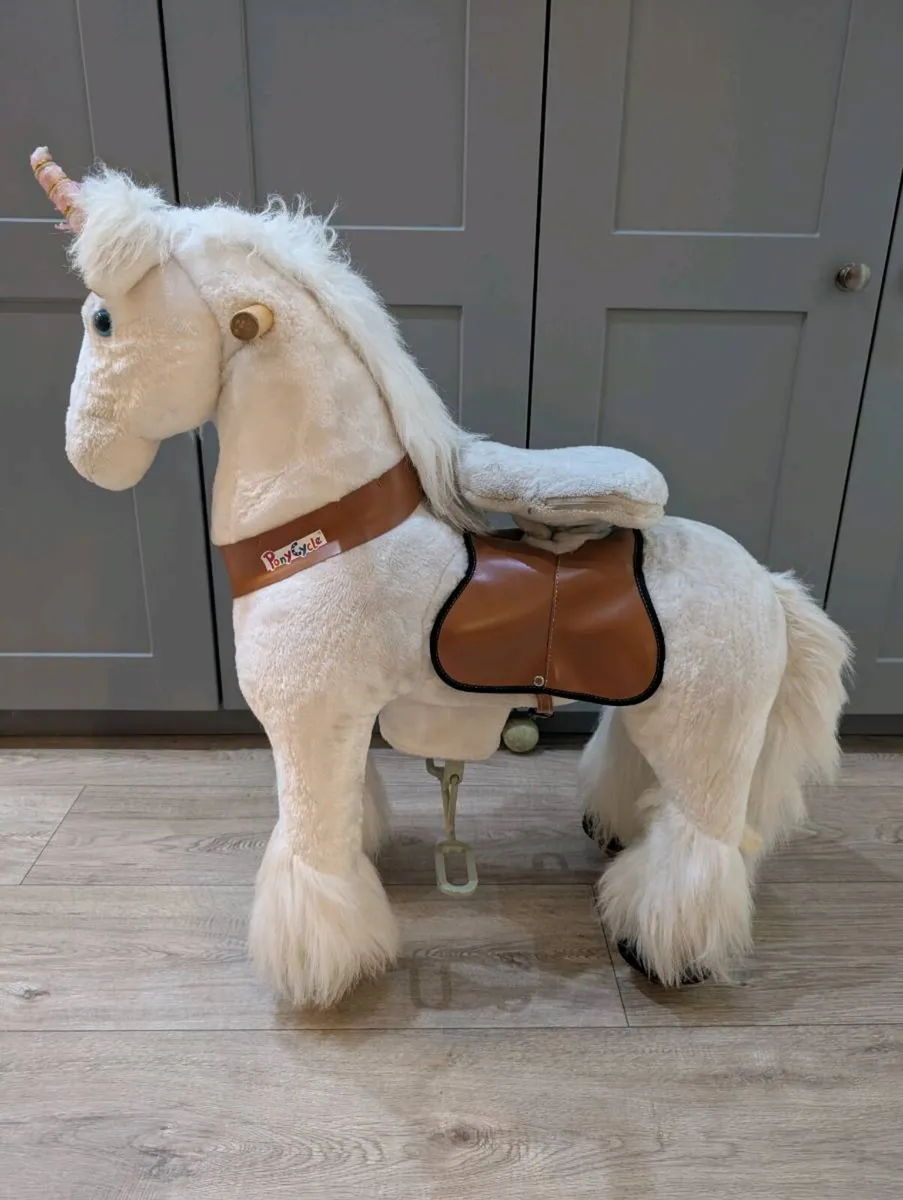 Pony cycle - Image 1