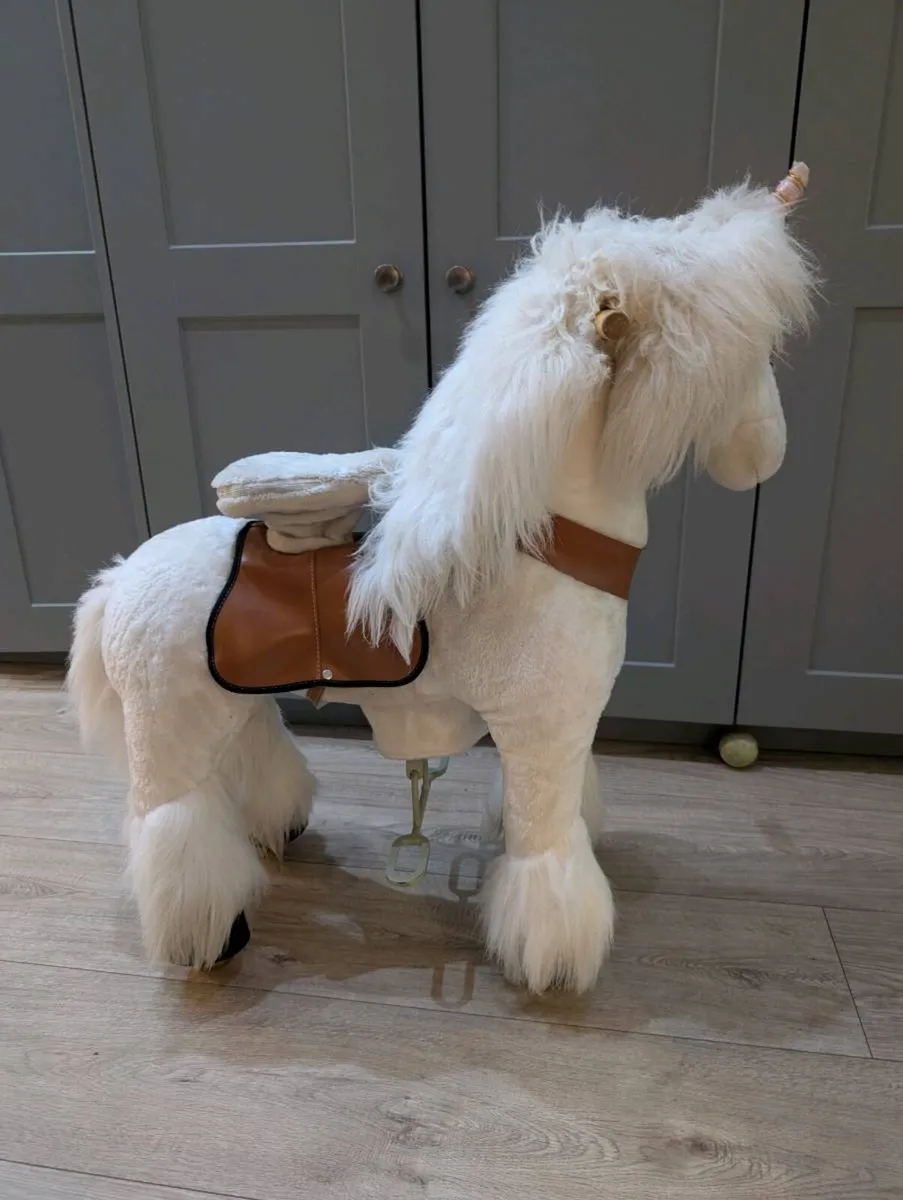 Pony cycle - Image 3