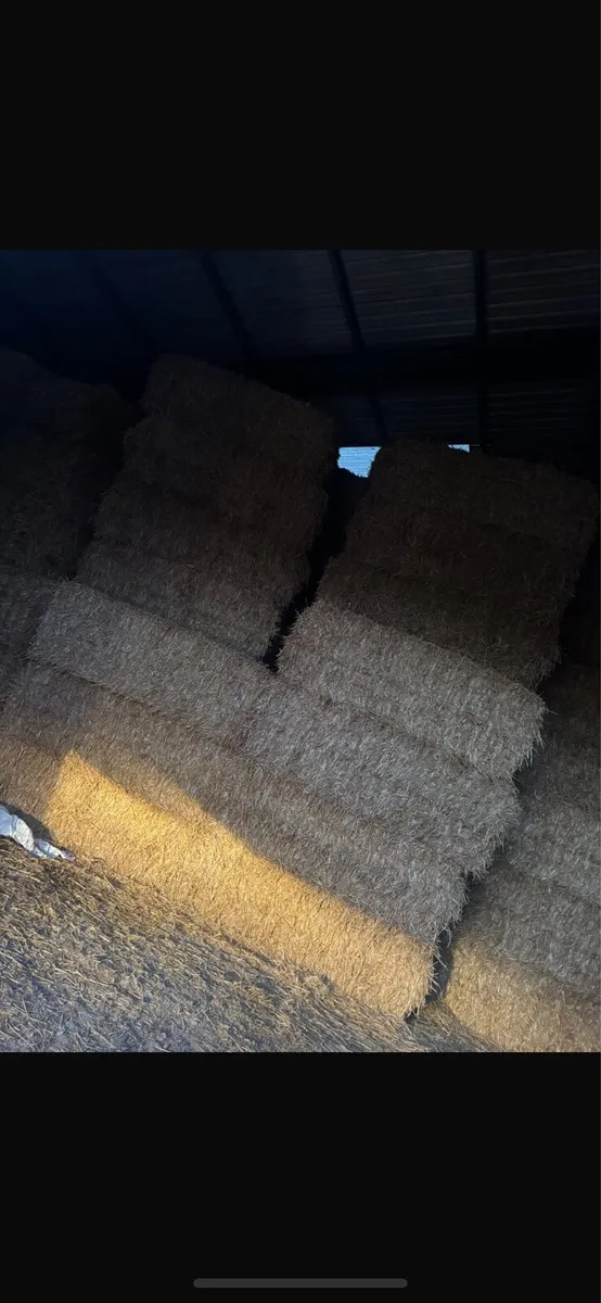 Wheaten straw - Image 2