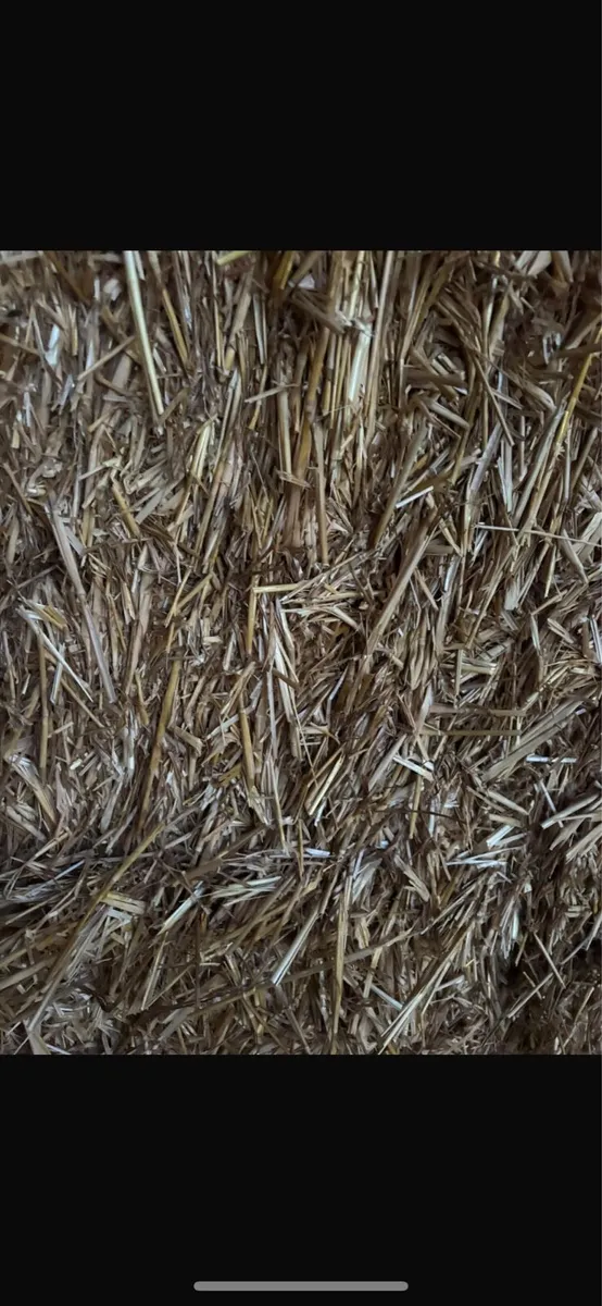 Wheaten straw - Image 3
