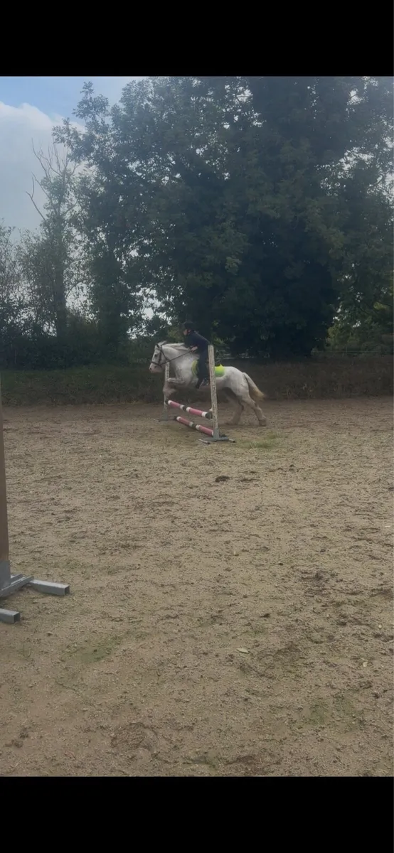 Pony - Image 1